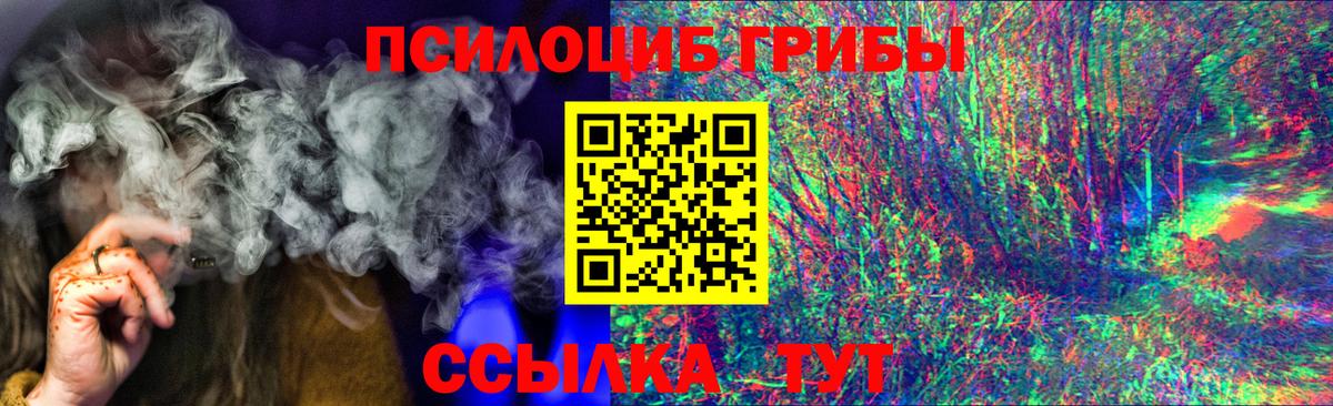 Дивногорск  Галлюциногенные грибы прущие грибы  наркота  Вход с VPN 